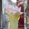 Grand Vase Cristal Daum France Amaryllis 40cm Galerie Maxime Marché Vernaison